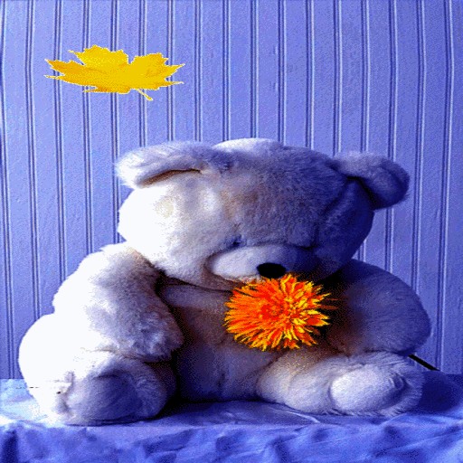 teddy flower